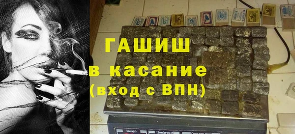гашик Гусев