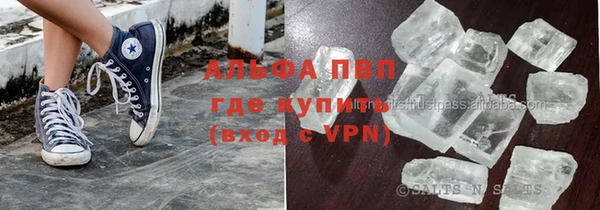 гашик Гусев