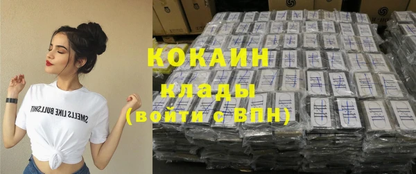 гашик Гусев