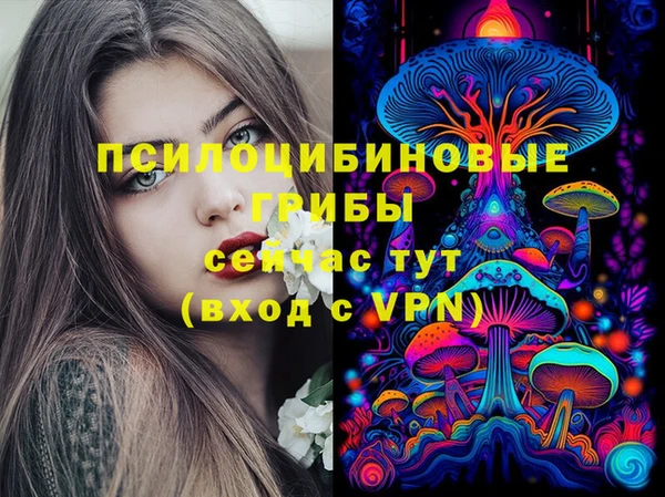 гашик Гусев