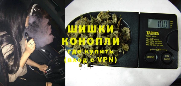 гашик Гусев