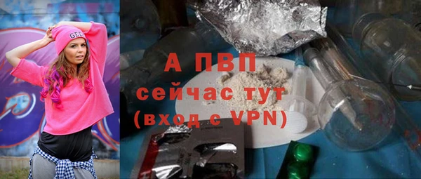 гашик Гусев