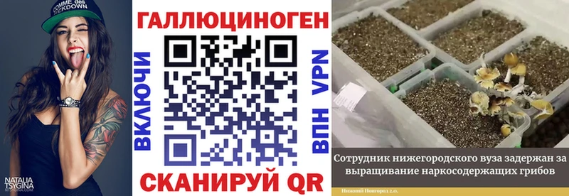 darknet официальный сайт  Донецк  Псилоцибиновые грибы мицелий  ОМГ ОМГ как зайти 
